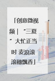 创意微视频｜“三夏”大忙正当时 麦浪滚滚穗飘香