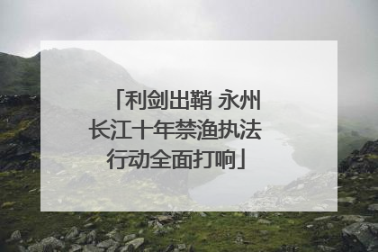 利剑出鞘 永州长江十年禁渔执法行动全面打响
