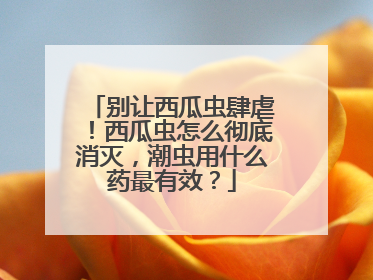 别让西瓜虫肆虐！西瓜虫怎么彻底消灭，潮虫用什么药最有效？