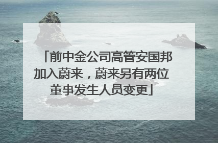 前中金公司高管安国邦加入蔚来，蔚来另有两位董事发生人员变更