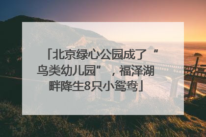 北京绿心公园成了“鸟类幼儿园”，福泽湖畔降生8只小鸳鸯
