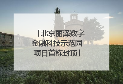 北京丽泽数字金融科技示范园项目首栋封顶