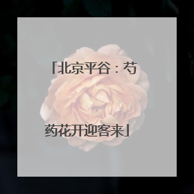 北京平谷：芍药花开迎客来