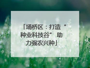 埇桥区：打造“种业科技谷” 助力强农兴种