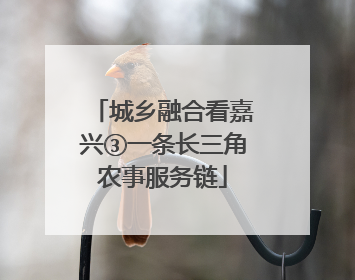 城乡融合看嘉兴③一条长三角农事服务链