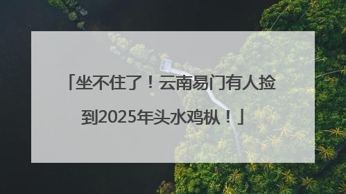 坐不住了！云南易门有人捡到2025年头水鸡枞！