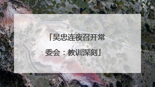 吴忠连夜召开常委会：教训深刻
