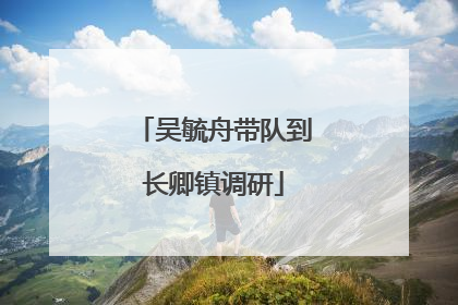 吴毓舟带队到长卿镇调研