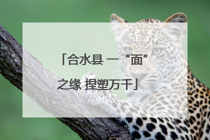 合水县 一“面”之缘 捏塑万千