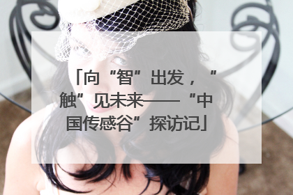 向“智”出发，“触”见未来——“中国传感谷”探访记