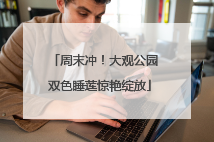 周末冲！大观公园双色睡莲惊艳绽放