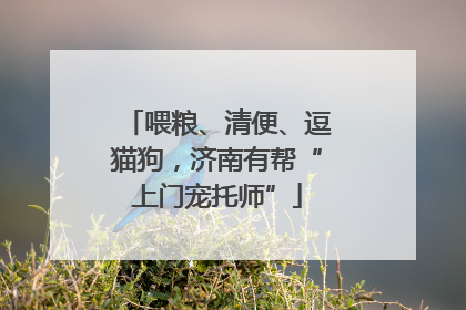 喂粮、清便、逗猫狗，济南有帮“上门宠托师”