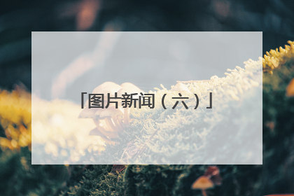图片新闻（六）