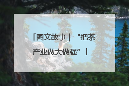 图文故事｜“把茶产业做大做强”