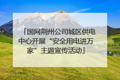 国网荆州公司城区供电中心开展“安全用电进万家”主题宣传活动