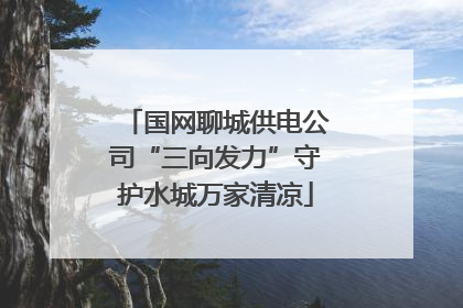 国网聊城供电公司“三向发力”守护水城万家清凉