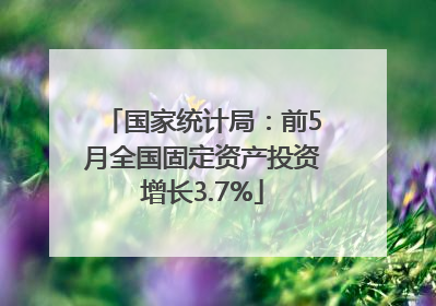 国家统计局：前5月全国固定资产投资增长3.7%