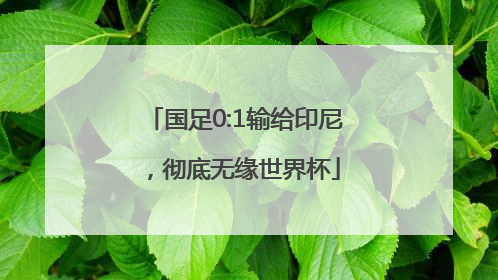 国足0:1输给印尼，彻底无缘世界杯