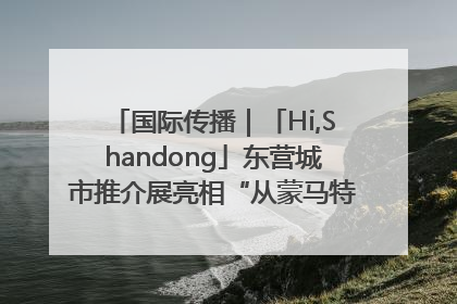 国际传播｜「Hi,Shandong」东营城市推介展亮相“从蒙马特到加里波第”文化节