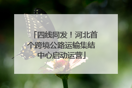 四线同发！河北首个跨境公路运输集结中心启动运营