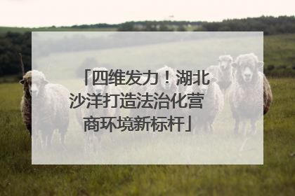 四维发力！湖北沙洋打造法治化营商环境新标杆