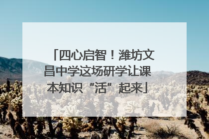 四心启智！潍坊文昌中学这场研学让课本知识“活”起来
