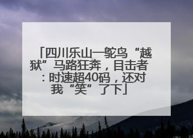四川乐山一鸵鸟“越狱”马路狂奔，目击者：时速超40码，还对我“笑”了下
