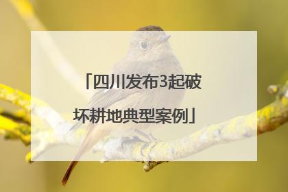 四川发布3起破坏耕地典型案例