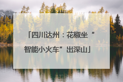 四川达州：花椒坐“智能小火车”出深山