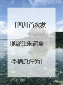 四川首次发现野生朱鹮夏季栖息行为