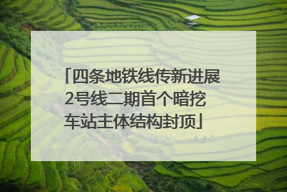 四条地铁线传新进展 2号线二期首个暗挖车站主体结构封顶