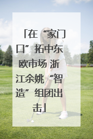 在“家门口”拓中东欧市场 浙江余姚“智造”组团出击