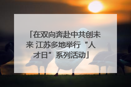 在双向奔赴中共创未来 江苏多地举行“人才日”系列活动
