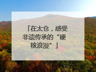在太仓，感受非遗传承的“硬核浪漫”