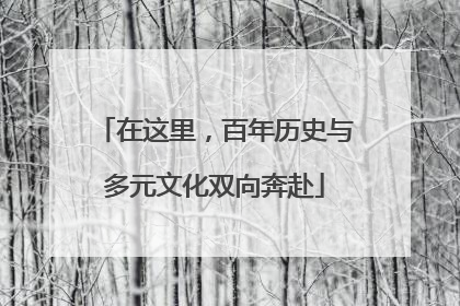 在这里，百年历史与多元文化双向奔赴