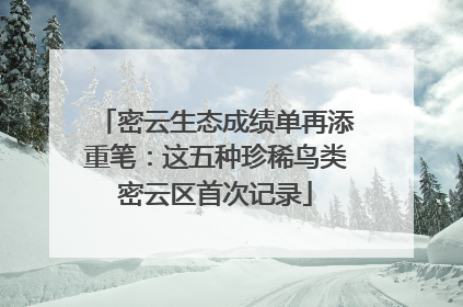 密云生态成绩单再添重笔：这五种珍稀鸟类密云区首次记录