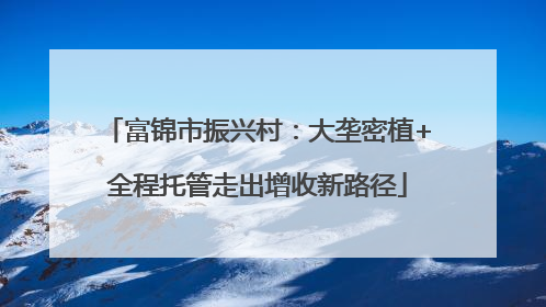 富锦市振兴村：大垄密植+全程托管走出增收新路径
