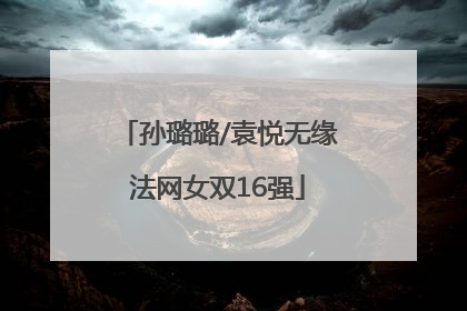 孙璐璐/袁悦无缘法网女双16强