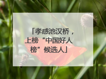 孝感池汉桥，上榜“中国好人榜”候选人