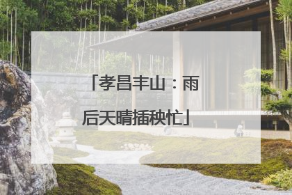 孝昌丰山：雨后天晴插秧忙