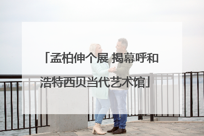 孟柏伸个展 揭幕呼和浩特西贝当代艺术馆