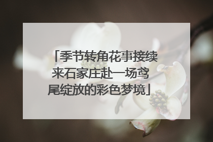 季节转角花事接续 来石家庄赴一场鸢尾绽放的彩色梦境