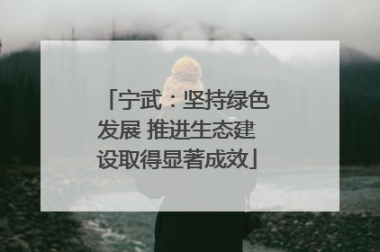 宁武：坚持绿色发展 推进生态建设取得显著成效