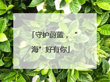 守护蔚蓝，“海”好有你