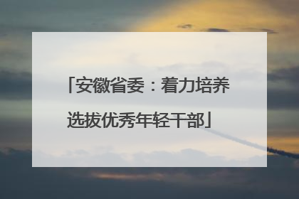 安徽省委：着力培养选拔优秀年轻干部