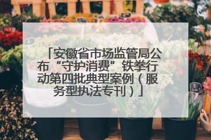 安徽省市场监管局公布“守护消费”铁拳行动第四批典型案例（服务型执法专刊）