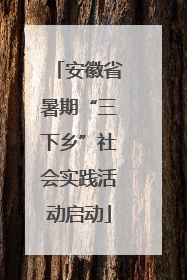 安徽省暑期“三下乡”社会实践活动启动