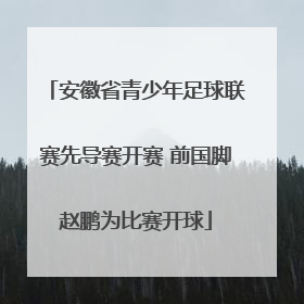 安徽省青少年足球联赛先导赛开赛 前国脚赵鹏为比赛开球