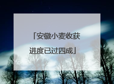 安徽小麦收获进度已过四成