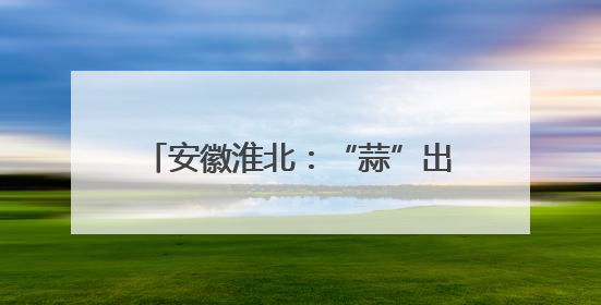 安徽淮北：“蒜”出致富路 丰产又丰收